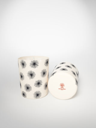 Signature Candle - Porcupine Small-Saints-Pères Paris- Ceramic Plates, Platters, Bowls, Coffee Cups. Animal Designs, Zebra, Flamingo, Elephant. Graphic Designs and more.