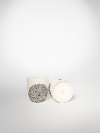 Small Candle - Porcupine Medium-Saints-Pères Paris- Ceramic Plates, Platters, Bowls, Coffee Cups. Animal Designs, Zebra, Flamingo, Elephant. Graphic Designs and more.