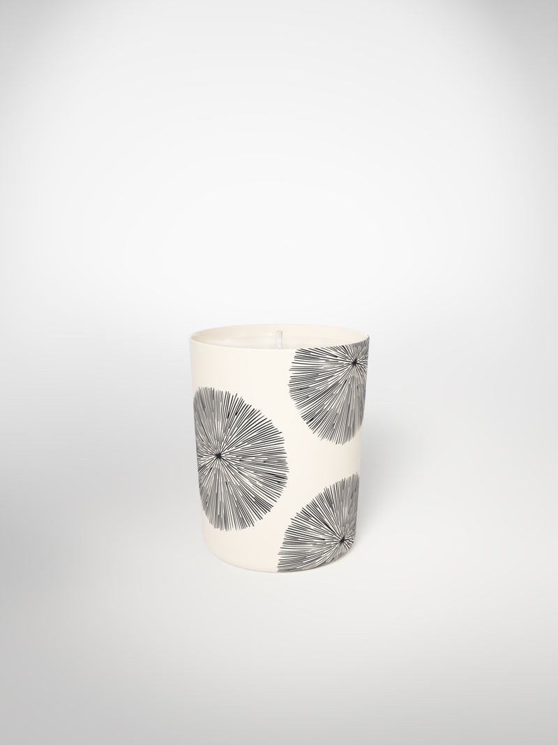 Signature Candle - Porcupine Medium-Saints-Pères Paris- Ceramic Plates, Platters, Bowls, Coffee Cups. Animal Designs, Zebra, Flamingo, Elephant. Graphic Designs and more.