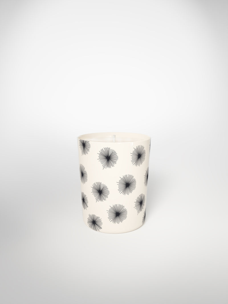 Signature Candle - Porcupine Small-Saints-Pères Paris- Ceramic Plates, Platters, Bowls, Coffee Cups. Animal Designs, Zebra, Flamingo, Elephant. Graphic Designs and more.