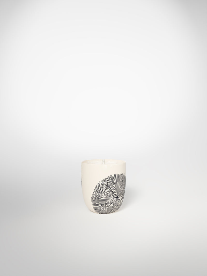 Small Candle - Porcupine Medium-Saints-Pères Paris- Ceramic Plates, Platters, Bowls, Coffee Cups. Animal Designs, Zebra, Flamingo, Elephant. Graphic Designs and more.